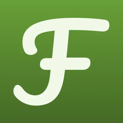 FastMoney, микрокредитная компания, лого-визитка