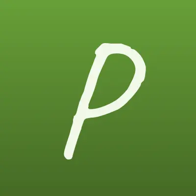 PLATiKA, терминал, лого-визитка